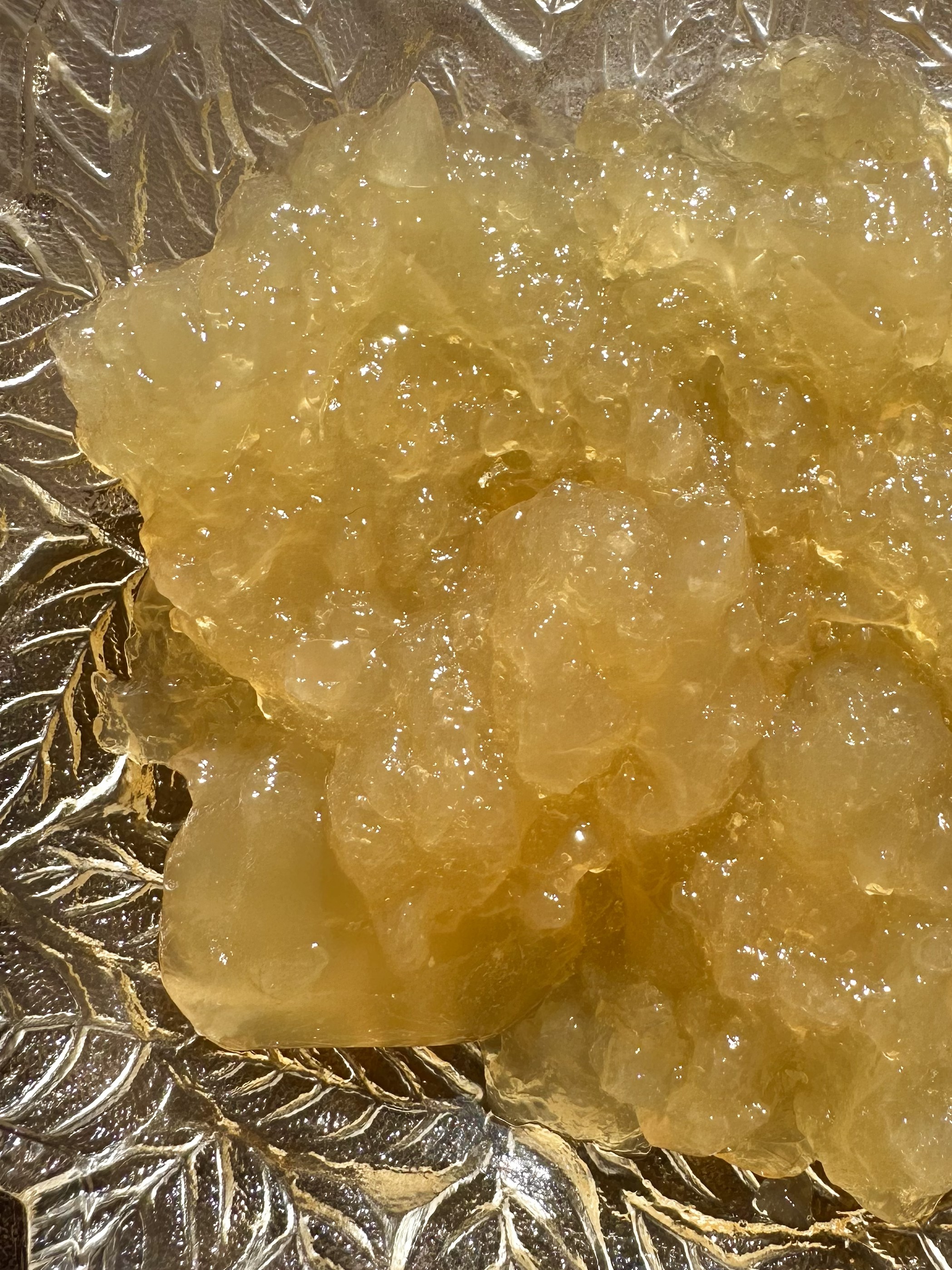 Trimester Zero: The Season Before the Seed